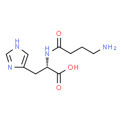 ChemSpider 2D Image | Homocarnosine | C10H16N4O3
