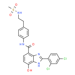 ChemSpider 2D Image | 2-(2,4-Dichlorophenyl)-7-hydroxy-N-(4-{2-[(methylsulfonyl)amino]ethyl}phenyl)-1H-benzimidazole-4-carboxamide | C23H20Cl2N4O4S