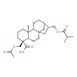 ChemSpider 2D Image | (5beta,8alpha,9beta,10alpha,13alpha)-19-Acetoxy-17-(isobutyryloxy)kauran-18-oic acid | C26H40O6