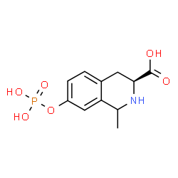 ChemSpider 2D Image | (3S)-1-Methyl-7-(phosphonooxy)-1,2,3,4-tetrahydro-3-isoquinolinecarboxylic acid | C11H14NO6P