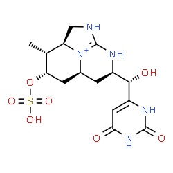 ChemSpider 2D Image | (2aS,3R,4S,5aS,7R)-7-[(S)-(2,6-Dioxo-1,2,3,6-tetrahydro-4-pyrimidinyl)(hydroxy)methyl]-3-methyl-4-(sulfooxy)-1,2,2a,3,4,5,5a,6,7,8-decahydro-1,8-diaza-8b-azoniaacenaphthylene | C15H22N5O7S