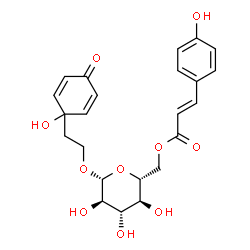 ChemSpider 2D Image | 2-(1-Hydroxy-4-oxo-2,5-cyclohexadien-1-yl)ethyl 6-O-[(2E)-3-(4-hydroxyphenyl)-2-propenoyl]-beta-D-glucopyranoside | C23H26O10