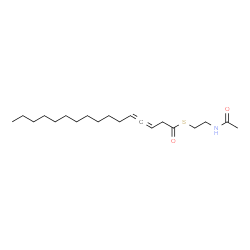 ChemSpider 2D Image | S-(2-Acetamidoethyl) 3,4-hexadecadienethioate | C20H35NO2S