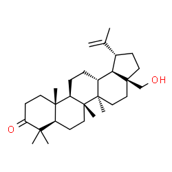 ChemSpider 2D Image | betulone | C30H48O2