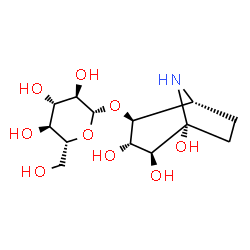 ChemSpider 2D Image | (1R,2S,3S,4S,5R)-3,4,5-Trihydroxy-8-azabicyclo[3.2.1]oct-2-yl beta-D-glucopyranoside | C13H23NO9