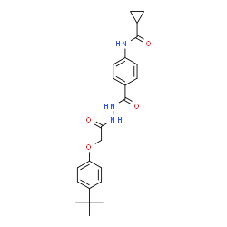 ChemSpider 2D Image | N-[4-({2-[(4-tert-butylphenoxy)acetyl]hydrazino}carbonyl)phenyl]cyclopropanecarboxamide | C23H27N3O4