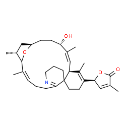 ChemSpider 2D Image | (5S)-5-[(1S,2E,11R,16S,17E,19S,22R,24R)-19-Hydroxy-2,15,18,24-tetramethyl-25-oxa-7-azatetracyclo[20.2.1.0~6,11~.0~11,16~]pentacosa-2,6,14,17-tetraen-14-yl]-3-methyl-2(5H)-furanone | C32H45NO4