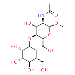 ChemSpider 2D Image | Methyl 2-acetamido-2-deoxy-4-O-[(1R,2S,3S,4R,5R)-2,3,4-trihydroxy-5-(hydroxymethyl)cyclohexyl]-beta-D-glucopyranoside | C16H29NO10