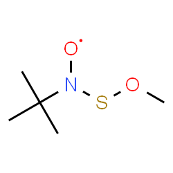 ChemSpider 2D Image | [(Methoxysulfanyl)(2-methyl-2-propanyl)amino]oxidanyl | C5H12NO2S
