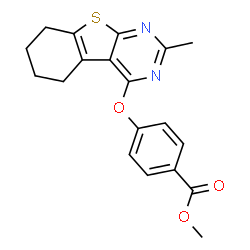 ChemSpider 2D Image | Methyl 4-[(2-methyl-5,6,7,8-tetrahydro[1]benzothieno[2,3-d]pyrimidin-4-yl)oxy]benzoate | C19H18N2O3S