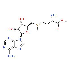 ChemSpider 2D Image | (3-Amino-4-methoxy-4-oxobutyl){[(2S,3S,4R,5R)-5-(6-amino-9H-purin-9-yl)-3,4-dihydroxytetrahydro-2-furanyl]methyl}methylsulfonium | C16H25N6O5S