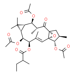 ChemSpider 2D Image | (1R,3R,4R,5R,7S,8S,9R,10E,12S,13S,14R)-4,8,13-Triacetoxy-3,6,6,10,14-pentamethyl-2-oxo-16-oxatetracyclo[10.3.1.0~1,12~.0~5,7~]hexadec-10-en-9-yl 2-methylbutanoate | C31H44O10