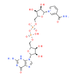 ChemSpider 2D Image | [[(2R,3S,4R,5R)-5-(2-amino-6-oxo-3H-purin-9-yl)-3,4-dihydroxy-tetrahydrofuran-2-yl]methoxy-hydroxy-phosphoryl] [(2R,3S,4R,5R)-5-(3-carbamoylpyridin-1-ium-1-yl)-3,4-dihydroxy-tetrahydrofuran-2-yl]methyl phosphate | C21H27N7O15P2