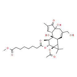 ChemSpider 2D Image | (1bS,4aR,7aS,7bS,8R,9R,9aS)-9a-Acetoxy-4a,7b-dihydroxy-3-(hydroxymethyl)-1,1,6,8-tetramethyl-5-oxo-1a,1b,4,4a,5,7a,7b,8,9,9a-decahydro-1H-cyclopropa[3,4]benzo[1,2-e]azulen-9-yl methyl suberate | C31H44O10