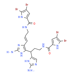 ChemSpider 2D Image | (+/-)-Nagelamide A | C22H22Br4N10O2