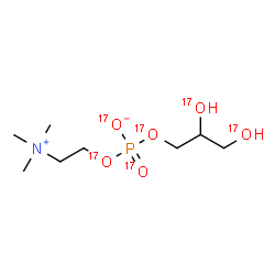 ChemSpider 2D Image | 2,3-Bis[(~17~O)hydroxy]propyl 2-(trimethylammonio)ethyl (~17~O_4_)phosphate | C8H20N17O6P