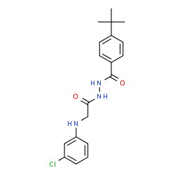 ChemSpider 2D Image | N'-{[(3-Chlorophenyl)amino]acetyl}-4-(2-methyl-2-propanyl)benzohydrazide | C19H22ClN3O2