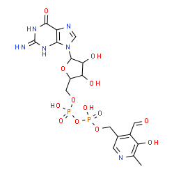 ChemSpider 2D Image | 9-{5-O-[({[(4-Formyl-5-hydroxy-6-methyl-3-pyridinyl)methoxy](hydroxy)phosphoryl}oxy)(hydroxy)phosphoryl]pentofuranosyl}-2-imino-1,2,3,9-tetrahydro-6H-purin-6-one | C18H22N6O13P2
