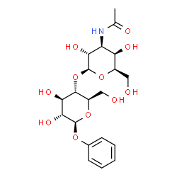 ChemSpider 2D Image | Phenyl 4-O-(3-acetamido-3-deoxy-beta-D-galactopyranosyl)-beta-D-glucopyranoside | C20H29NO11