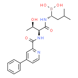 ChemSpider 2D Image | [(1R)-3-Methyl-1-({N-[(4-phenyl-2-pyridinyl)carbonyl]-L-threonyl}amino)butyl]boronic acid | C21H28BN3O5