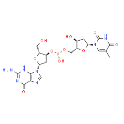 ChemSpider 2D Image | (2R,3S,5R)-5-(2-Amino-6-oxo-3,6-dihydro-9H-purin-9-yl)-2-(hydroxymethyl)tetrahydro-3-furanyl [(2R,3S,5R)-3-hydroxy-5-(5-methyl-2,4-dioxo-3,4-dihydro-1(2H)-pyrimidinyl)tetrahydro-2-furanyl]methyl hydro
gen phosphite | C20H26N7O10P