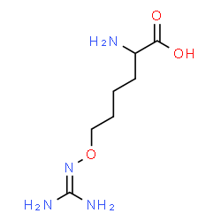 ChemSpider 2D Image | 6-{[(Diaminomethylene)amino]oxy}norleucine | C7H16N4O3