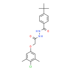 ChemSpider 2D Image | 4-tert-butyl-N'-[(4-chloro-3,5-dimethylphenoxy)acetyl]benzohydrazide | C21H25ClN2O3