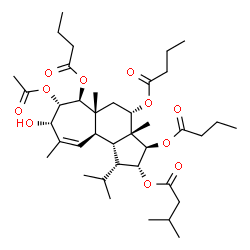 ChemSpider 2D Image | (1R,2R,3R,3aR,4S,5aR,6S,7S,8S,10aR,10bS)-7-Acetoxy-3,4,6-tris(butyryloxy)-8-hydroxy-1-isopropyl-3a,5a,9-trimethyl-1,2,3,3a,4,5,5a,6,7,8,10a,10b-dodecahydrocyclohepta[e]inden-2-yl 3-methylbutanoate | C39H62O11