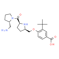 ChemSpider 2D Image | 4-{[(2R,5S)-5-{[(2S)-2-(AMINOMETHYL)PYRROLIDIN-1-YL]CARBONYL}PYRROLIDIN-2-YL]METHOXY}-3-TERT-BUTYLBENZOIC ACID | C22H33N3O4
