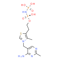 ChemSpider 2D Image | 3-[(4-Amino-2-methyl-5-pyrimidinyl)methyl]-5-(2-{[(S)-hydroxy(phosphonoamino)phosphoryl]oxy}ethyl)-4-methyl-1,3-thiazol-3-ium | C12H20N5O6P2S