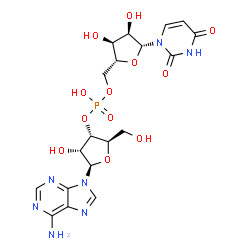 ChemSpider 2D Image | (2R,3S,4R,5R)-5-(6-Amino-9H-purin-9-yl)-4-hydroxy-2-(hydroxymethyl)tetrahydro-3-furanyl [(2R,3S,4R,5R)-5-(2,4-dioxo-3,4-dihydro-1(2H)-pyrimidinyl)-3,4-dihydroxytetrahydro-2-furanyl]methyl hydrogen pho
sphate | C19H24N7O12P