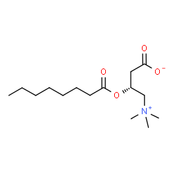 ChemSpider 2D Image | C8-Carnitine | C15H29NO4