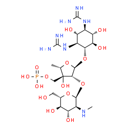 ChemSpider 2D Image | (1R,2S,3R,4R,5S,6R)-2,4-Dicarbamimidamido-3,5,6-trihydroxycyclohexyl 5-deoxy-2-O-[2-deoxy-2-(methylamino)-alpha-L-glucopyranosyl]-3-C-[(phosphonooxy)methyl]-alpha-L-lyxofuranoside | C21H42N7O15P