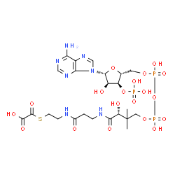 ChemSpider 2D Image | oxalyl-CoA | C23H36N7O19P3S