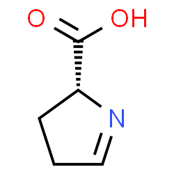 ChemSpider 2D Image | (R)-1-pyrroline-5-carboxylic acid | C5H7NO2
