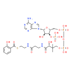 ChemSpider 2D Image | 2-hydroxybenzoyl-CoA | C28H40N7O18P3S