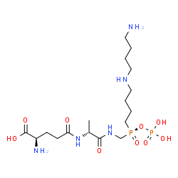 ChemSpider 2D Image | D-gamma-Glutamyl-N-{[(R)-{4-[(4-aminobutyl)amino]butyl}(phosphonooxy)phosphoryl]methyl}-D-alaninamide | C17H37N5O9P2