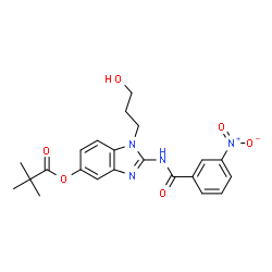 ChemSpider 2D Image | 1-(3-Hydroxypropyl)-2-[(3-nitrobenzoyl)amino]-1H-benzimidazol-5-yl pivalate | C22H24N4O6