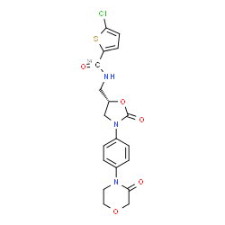 ChemSpider 2D Image | 5-Chloro-N-({(5S)-2-oxo-3-[4-(3-oxo-4-morpholinyl)phenyl]-1,3-oxazolidin-5-yl}methyl)-2-thiophene(~14~C)carboxamide | C1814CH18ClN3O5S