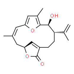 ChemSpider 2D Image | (2Z,5S,11S,12S)-12-Hydroxy-11-isopropenyl-3,14-dimethyl-6,16-dioxatricyclo[11.2.1.1~5,8~]heptadeca-1(15),2,8(17),13-tetraen-7-one | C20H24O4