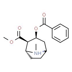 ChemSpider 2D Image | (1R,2R,3S,5S,8R)-3-(Benzoyloxy)-2-(methoxycarbonyl)-8-methyl-8-azoniabicyclo[3.2.1]octane | C17H22NO4