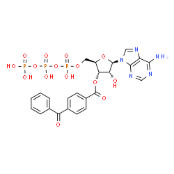 ChemSpider 2D Image | 3'-O-(4-benzoyl)benzoyladenosine 5'-triphosphate | C24H24N5O15P3