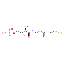 ChemSpider 2D Image | Phosphopantetheine | C11H23N2O7PS