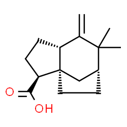 ChemSpider 2D Image | Zizanoic acid | C15H22O2