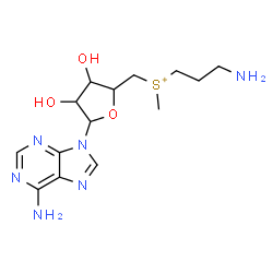 ChemSpider 2D Image | (3-Aminopropyl){[5-(6-amino-9H-purin-9-yl)-3,4-dihydroxytetrahydro-2-furanyl]methyl}methylsulfonium | C14H23N6O3S