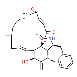 ChemSpider 2D Image | (3E,9R,11E,13S,15S,15aS,16S,18aS)-16-Benzyl-13-hydroxy-9,15-dimethyl-14-methylene-6,7,8,9,10,12a,13,14,15,15a,16,17-dodecahydro-2H-oxacyclotetradecino[2,3-d]isoindole-2,5,18-trione | C29H35NO5