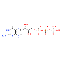 ChemSpider 2D Image | dihydroneopterin triphosphate | C9H16N5O13P3