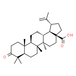 ChemSpider 2D Image | betulonic acid | C30H46O3
