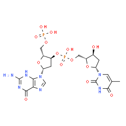 ChemSpider 2D Image | {(2R,3S,5R)-5-(2-Amino-6-oxo-3,6-dihydro-9H-purin-9-yl)-3-[(hydroxy{[(2R,3S,5R)-3-hydroxy-5-(5-methyl-2,4-dioxo-3,4-dihydro-1(2H)-pyrimidinyl)tetrahydro-2-furanyl]methoxy}phosphoryl)oxy]tetrahydro-2-f
uranyl}methyl dihydrogen phosphate | C20H27N7O14P2
