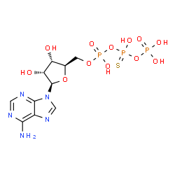 ChemSpider 2D Image | 5'-O-(Hydroxy{[hydroxy(phosphonooxy)phosphorothioyl]oxy}phosphoryl)adenosine | C10H16N5O12P3S